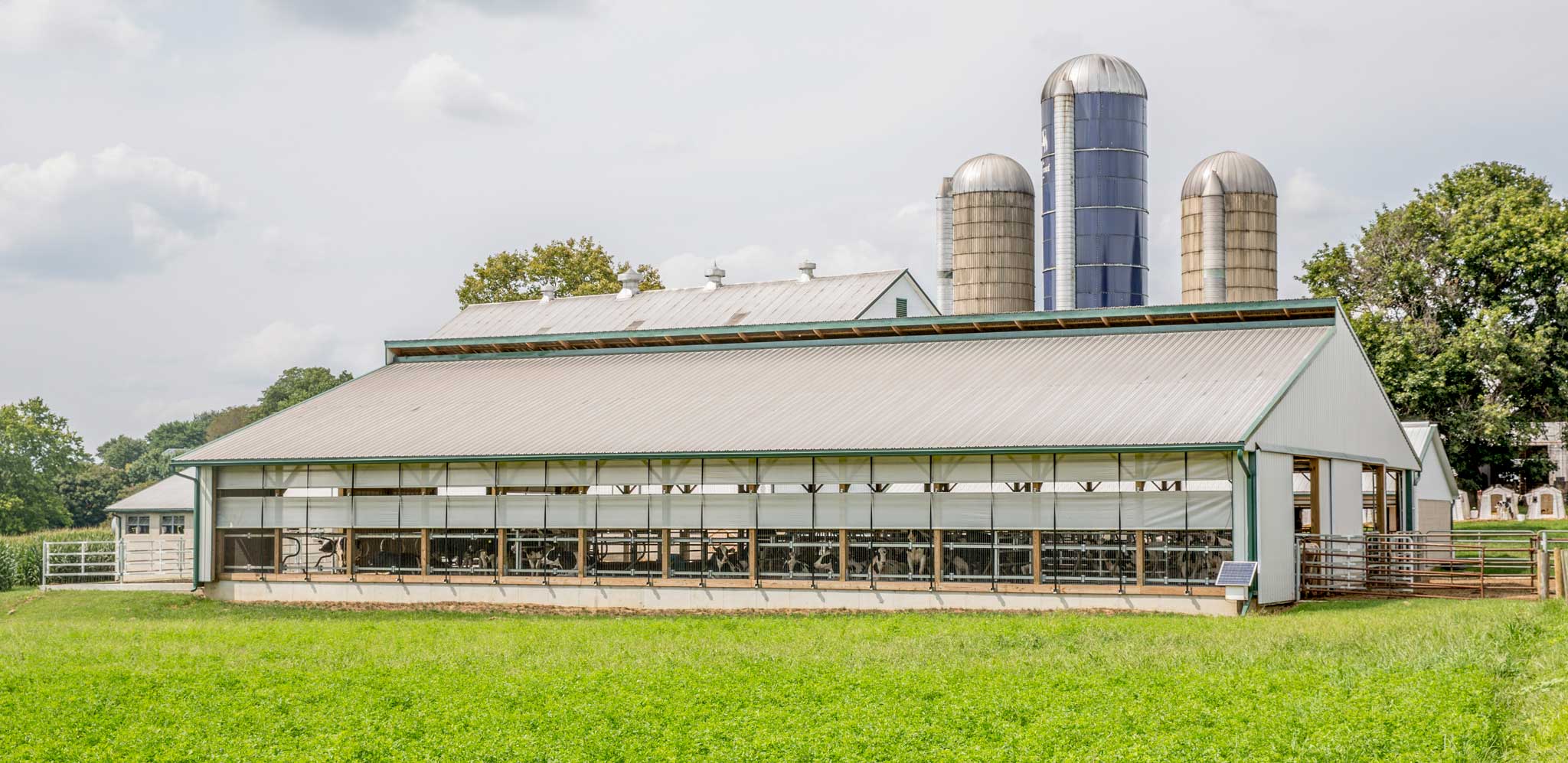Heifer Barns White Horse Construction Inc