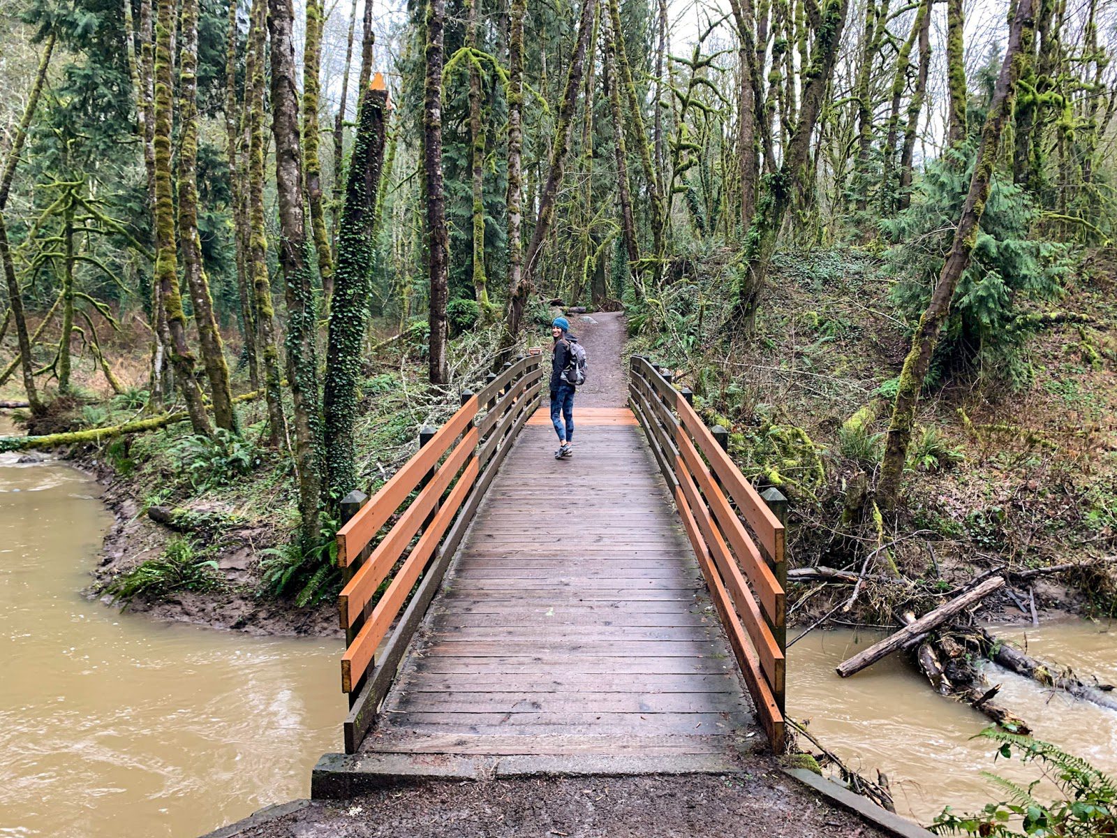 The 12 Best Hikes Near Portland A Complete Hiking Guide