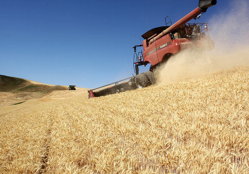 Lambert Farms, Columbia County Wheat Life