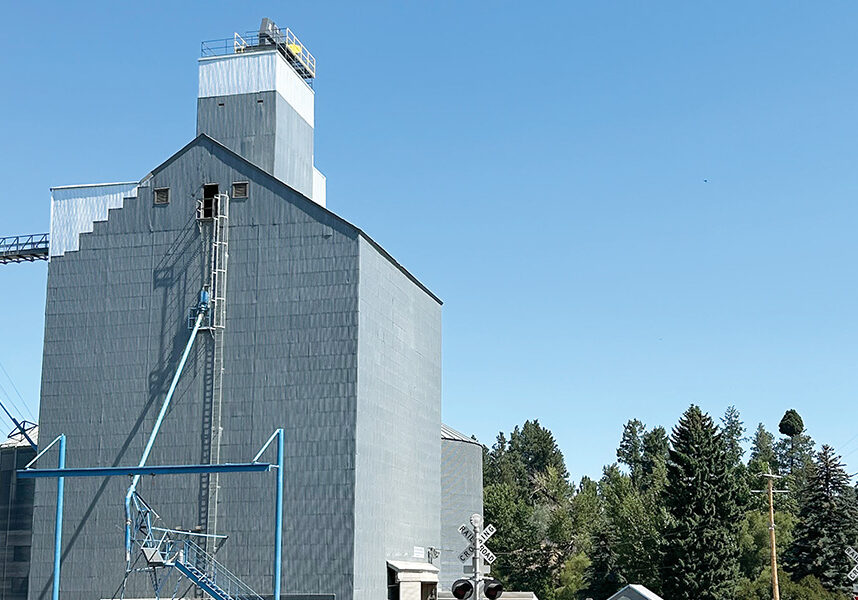 Insurance woes Wheat Life