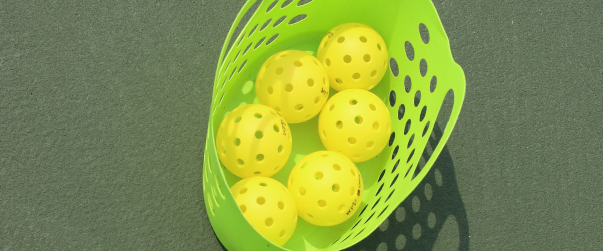 Pickleball Wheaton Park District