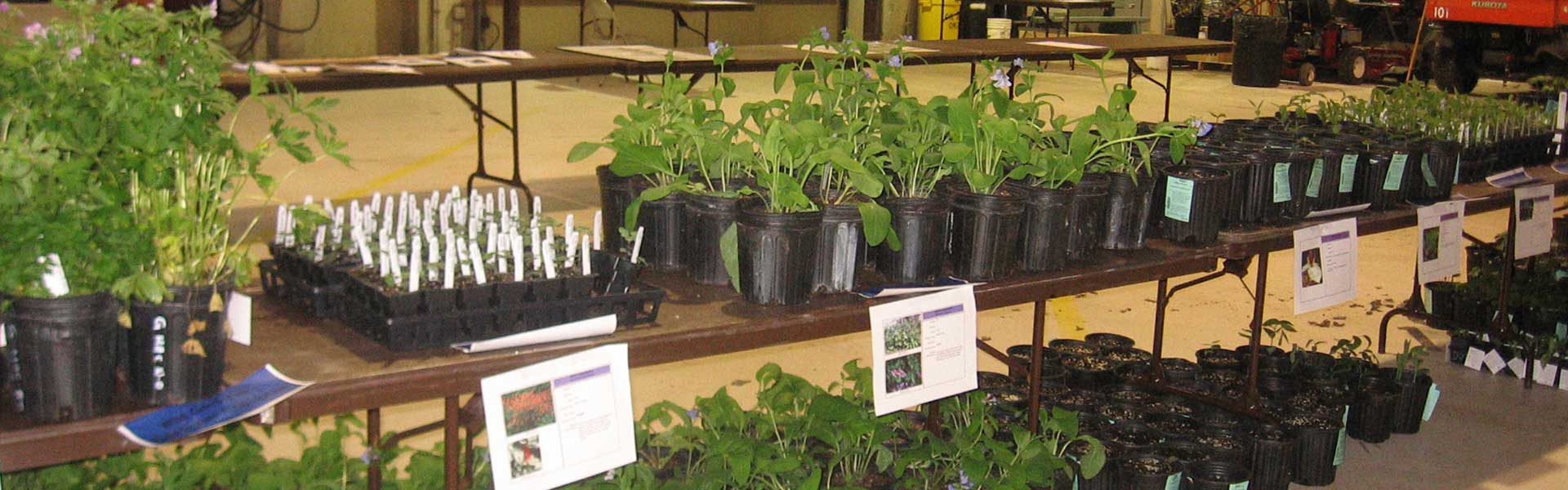 4/27 Native Plant Sale Wheaton Park District
