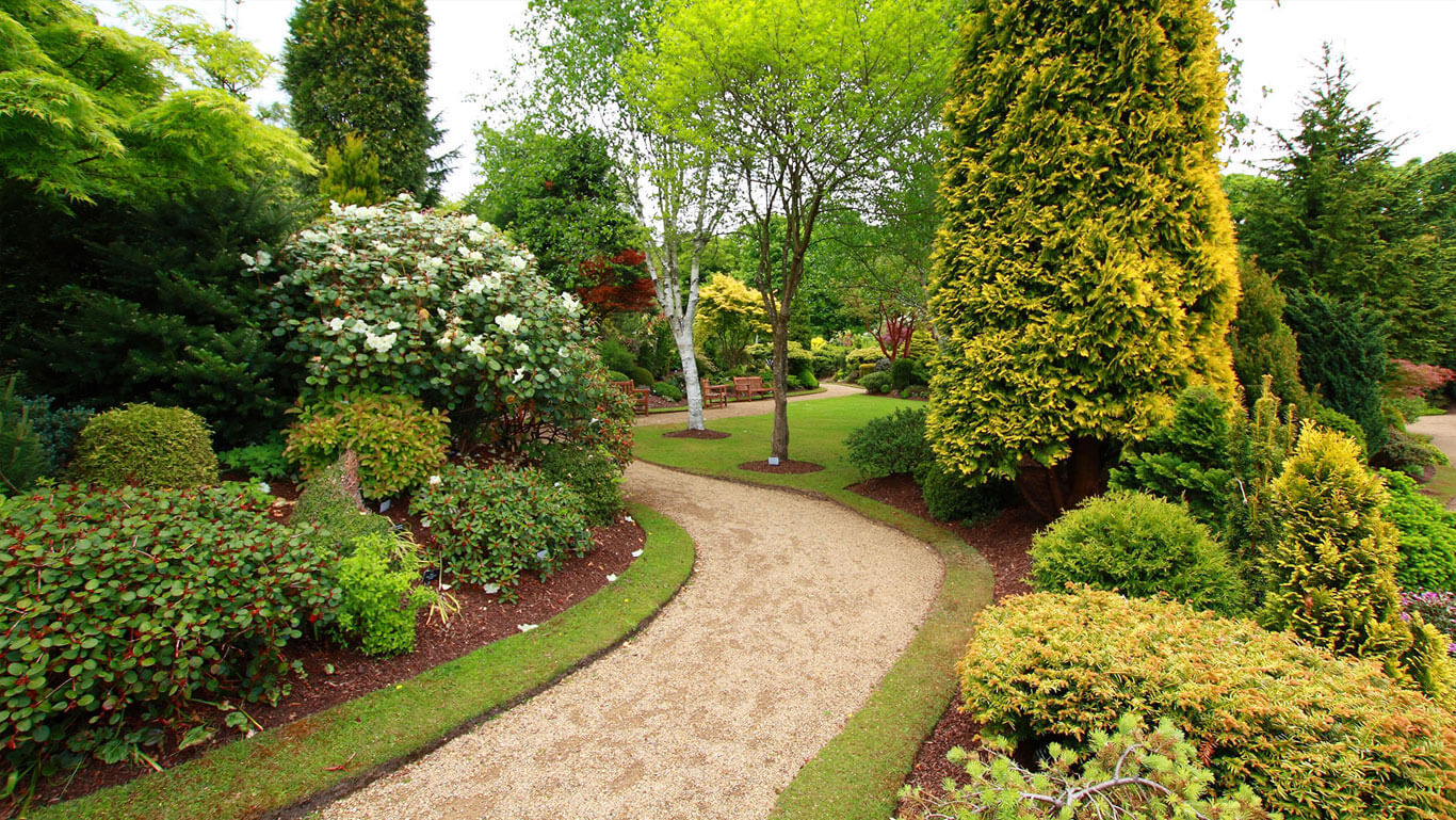 Wheeler Maintenance Lawn Care Landscaping McDonough, Hampton