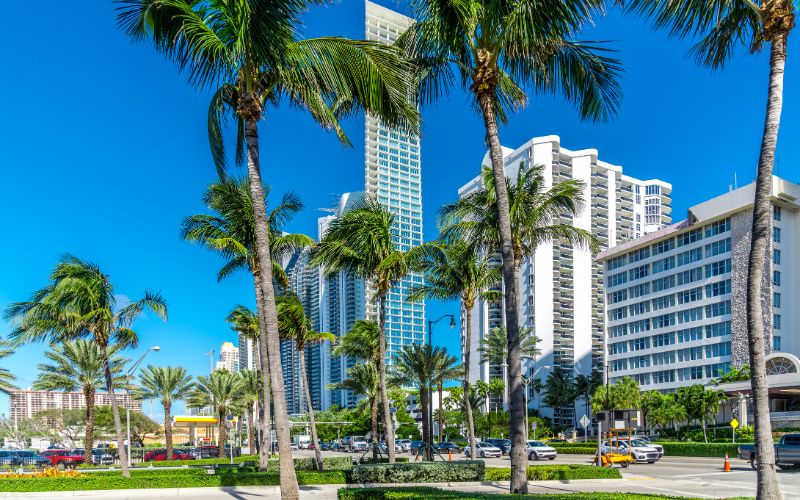 Dover, FL Handicap Rental Vans Wheelers Accessible Van Rentals