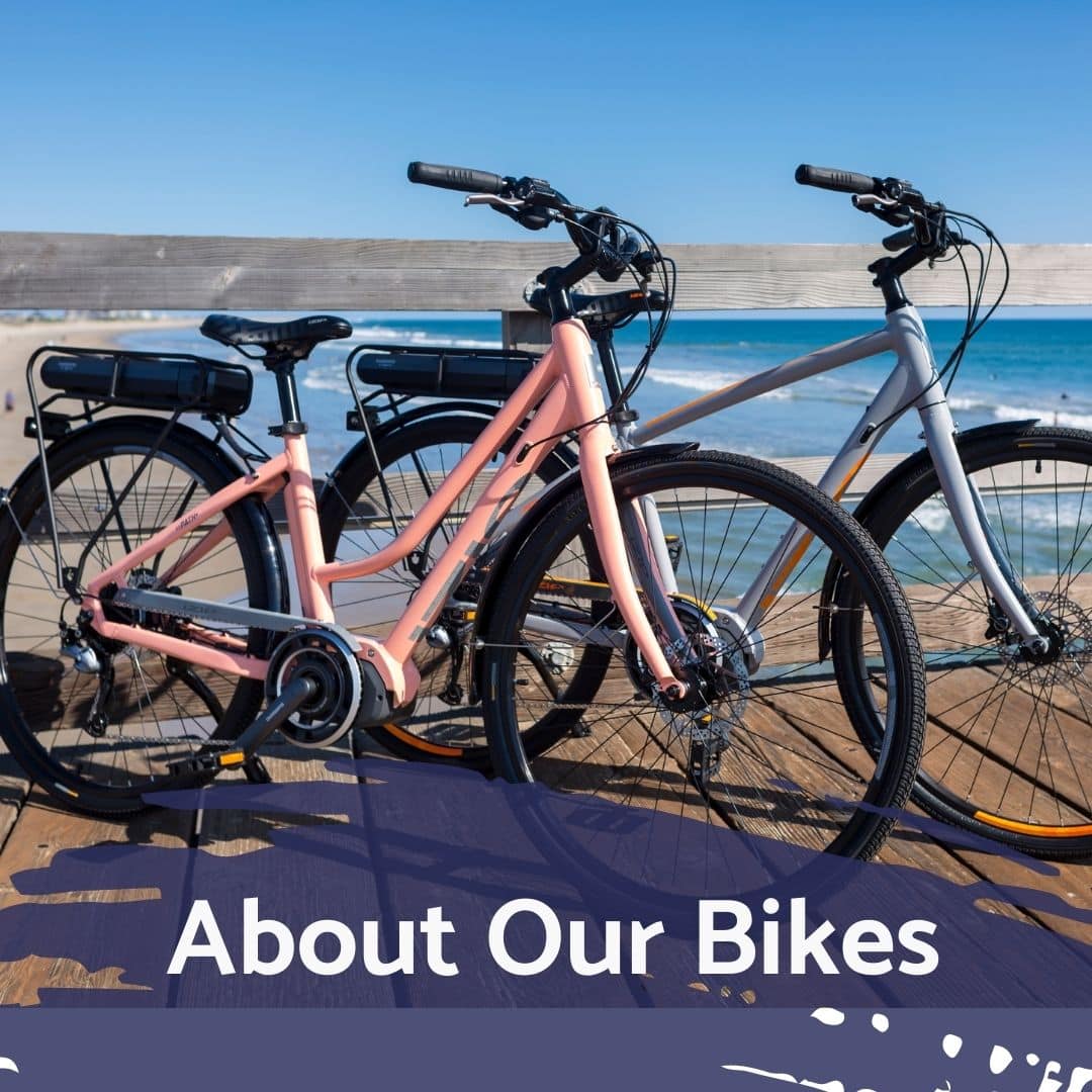 Electric Bike Rentals