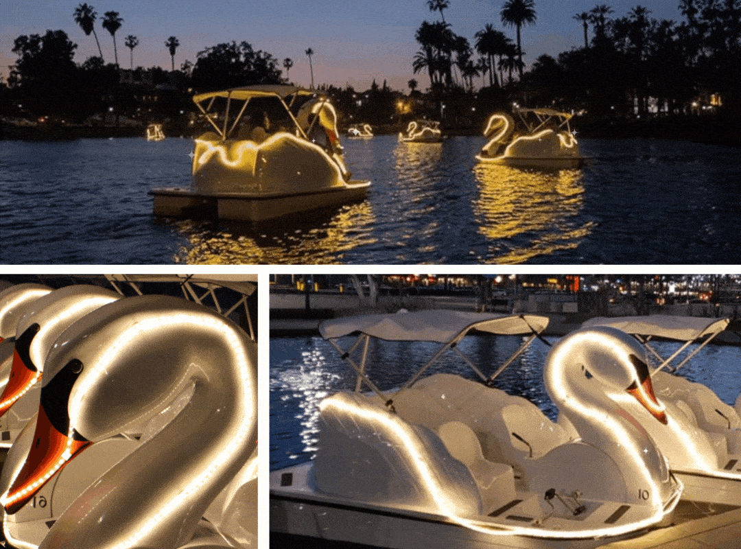 Nighttime Swan Boat Rentals, Milwaukee, WI Veterans Park Wheel Fun