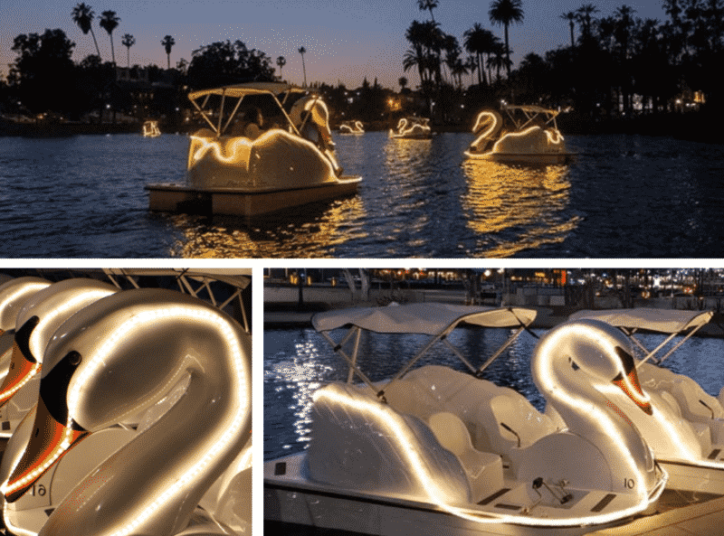 Illuminated Swan Boats Light Up the Lagoon at Milwaukee's Veterans Park