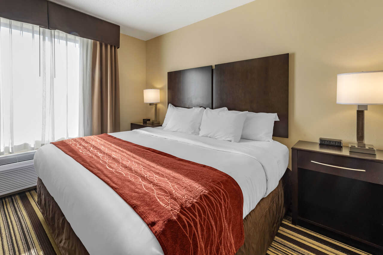 Comfort Inn & Suites Lodging