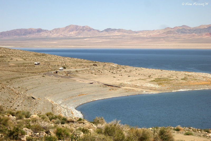 BLM Campground Review Walker Lake Recreation Area, Hawthorne, NV