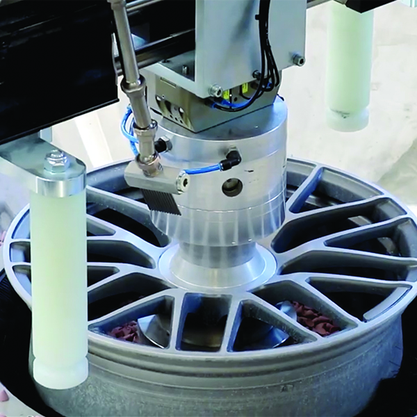 Wr100 vibration polisher