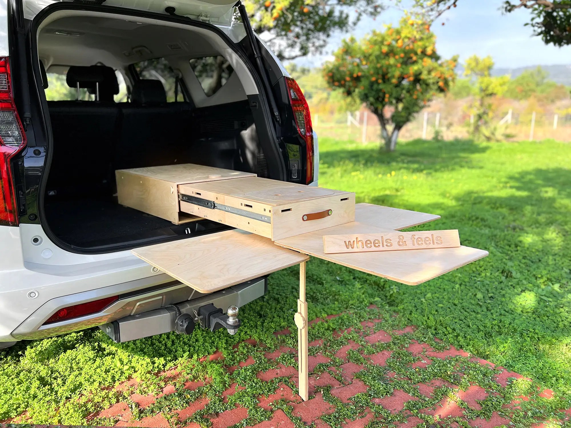 Culinary Expeditions The Art of Organizing and Storing Foods for