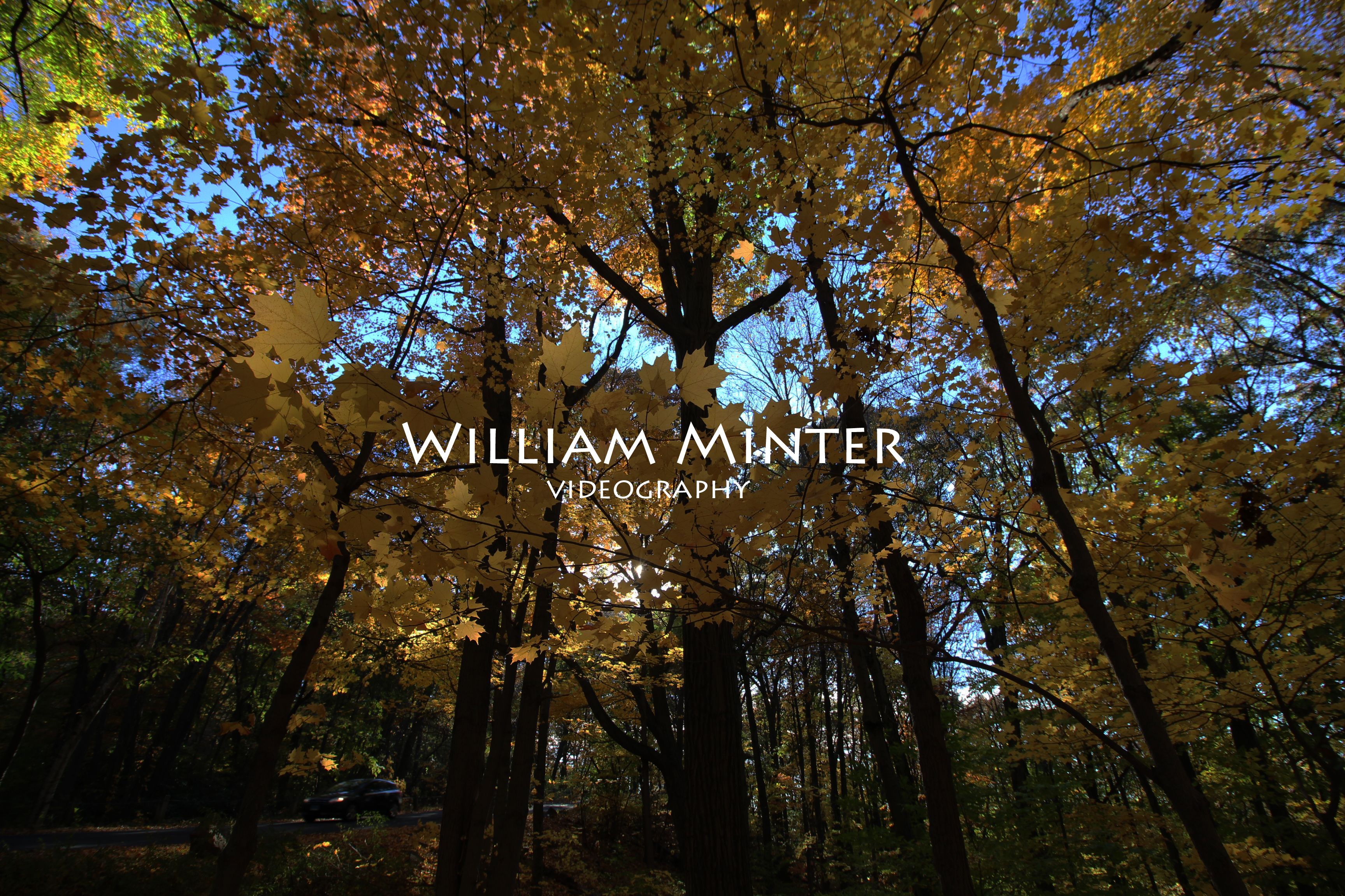 newheader1 Video Production Connecticut Wheel To Sea