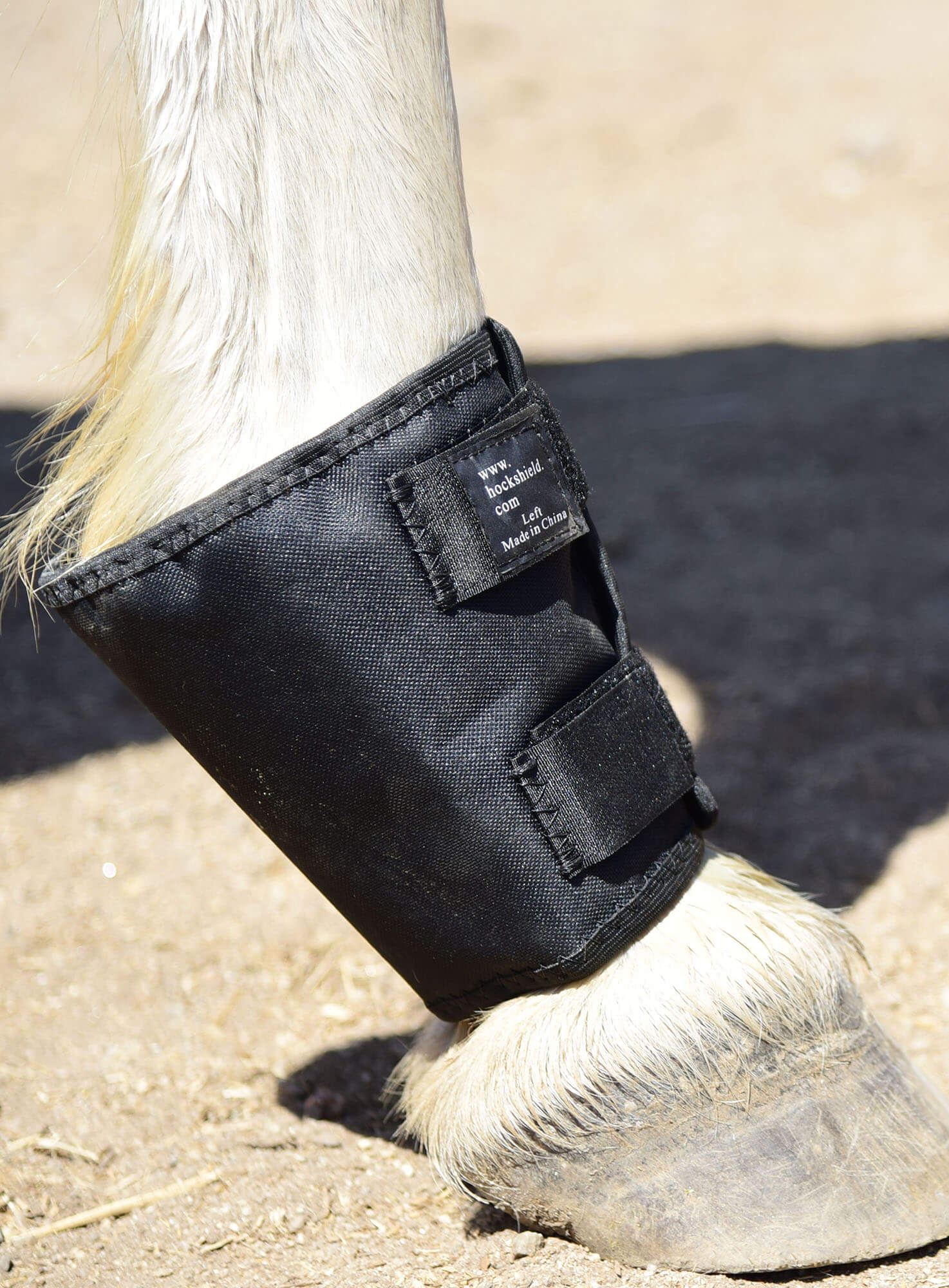Hock & Fetlock Shields by Click Horse Products When It Clicks