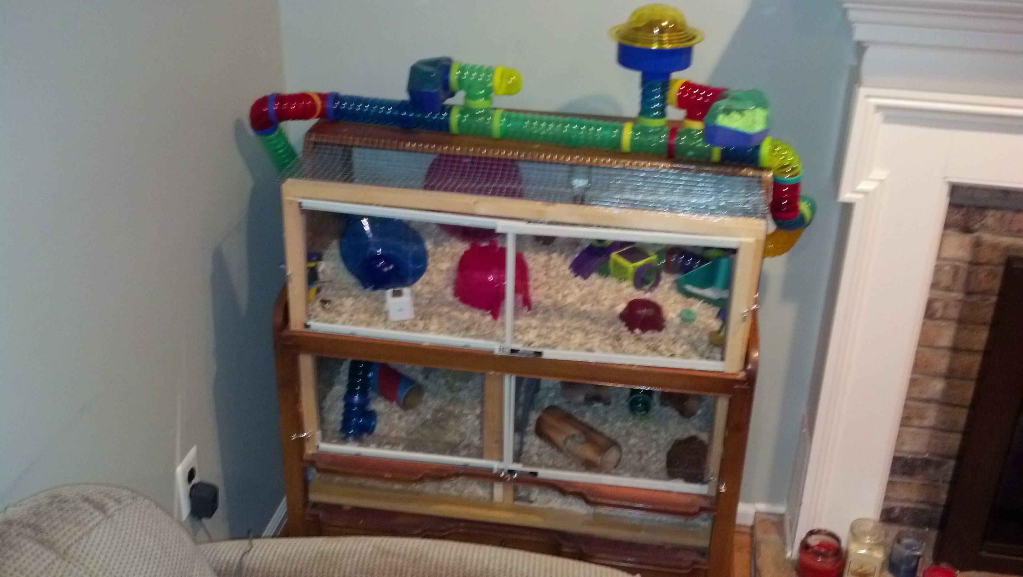 Diy Hamster Cage Ideas Home Design