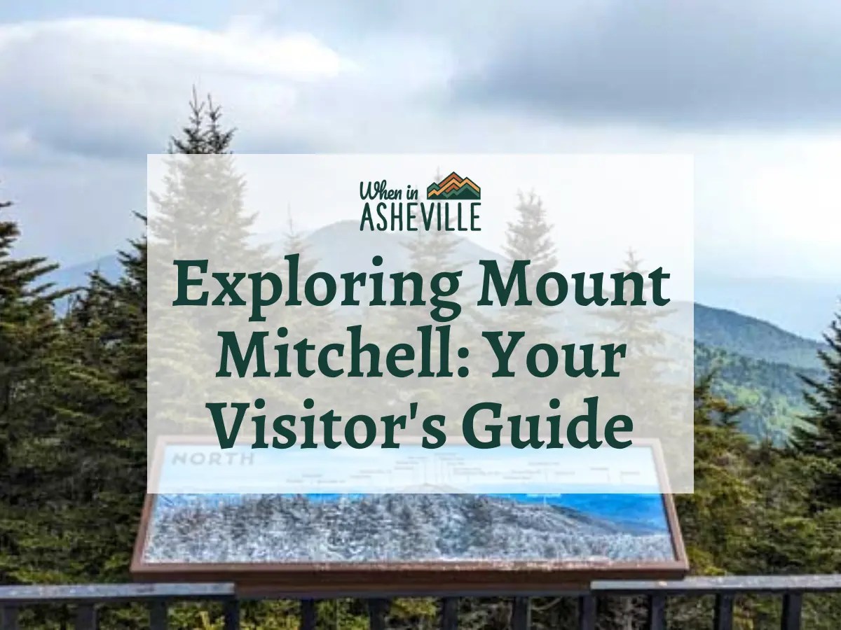 Exploring Mount Mitchell Your Essential Visitor's Guide When In