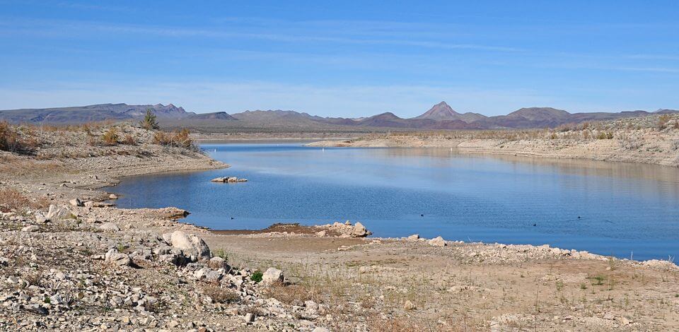 10 Reasons You Should Visit Alamo Lake State Park