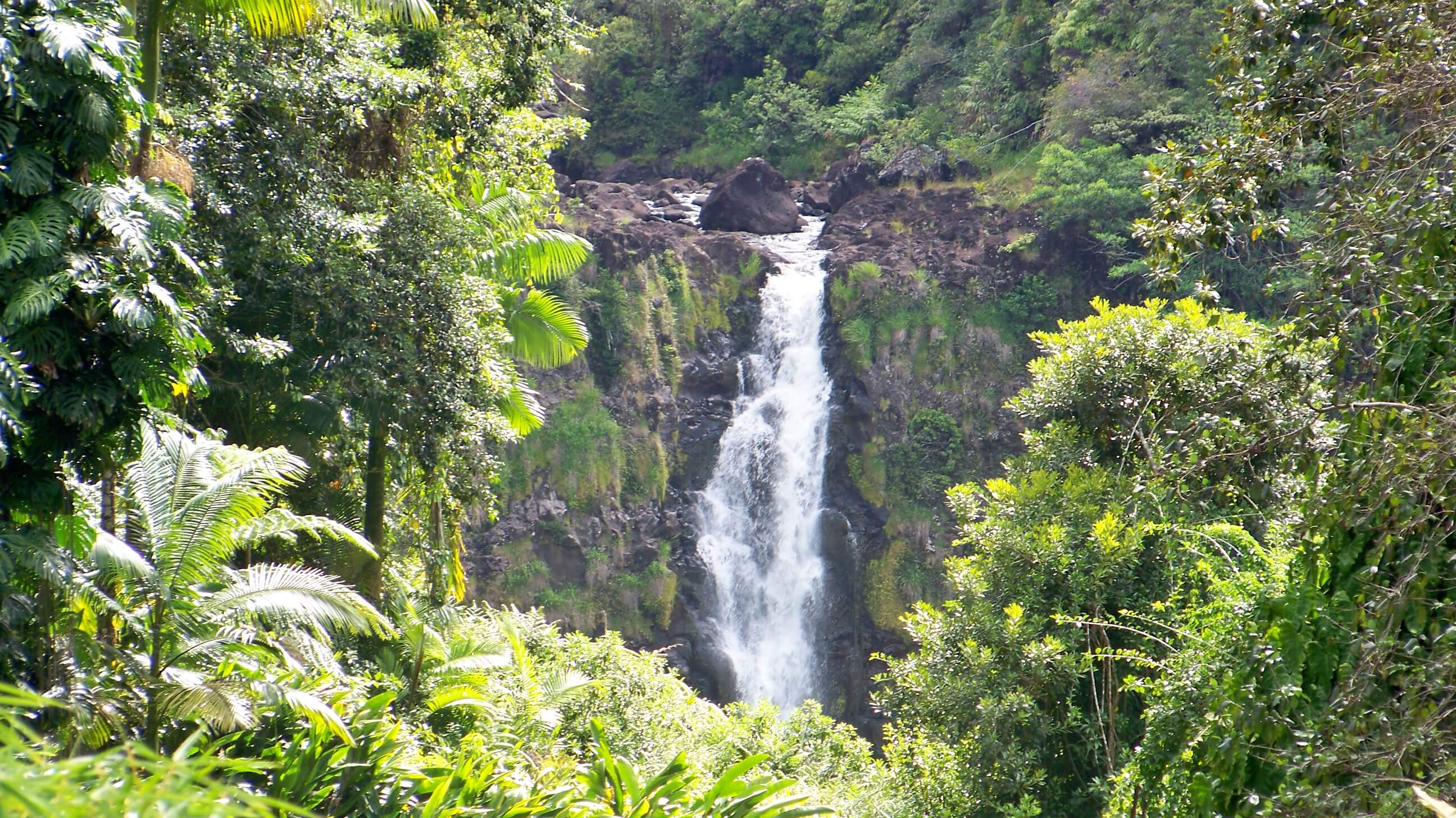 You Only Need 2 Reasons to Visit Akaka Falls State Park