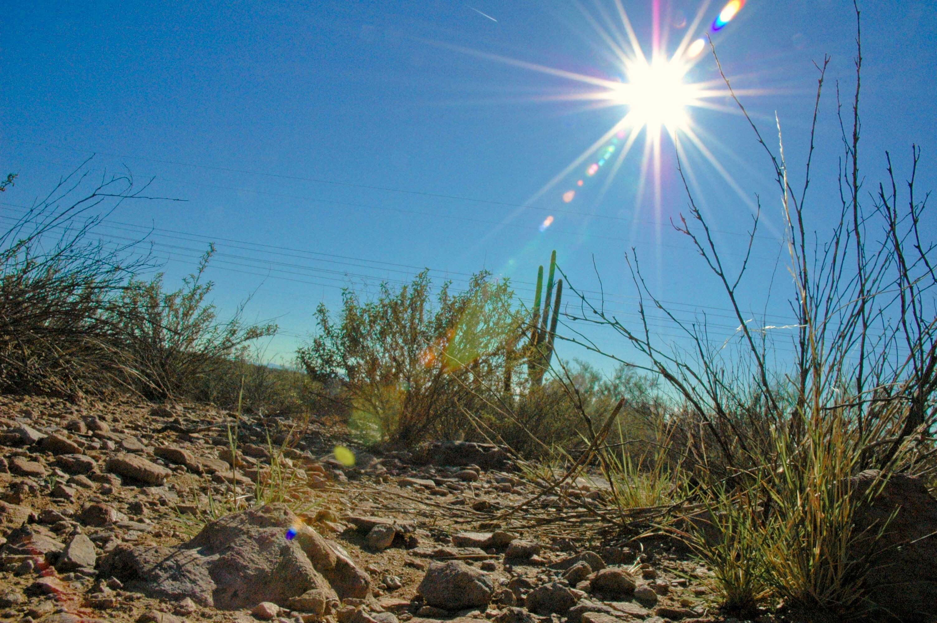 12 Tips For Keeping Cool in the Scorching Arizona Heat