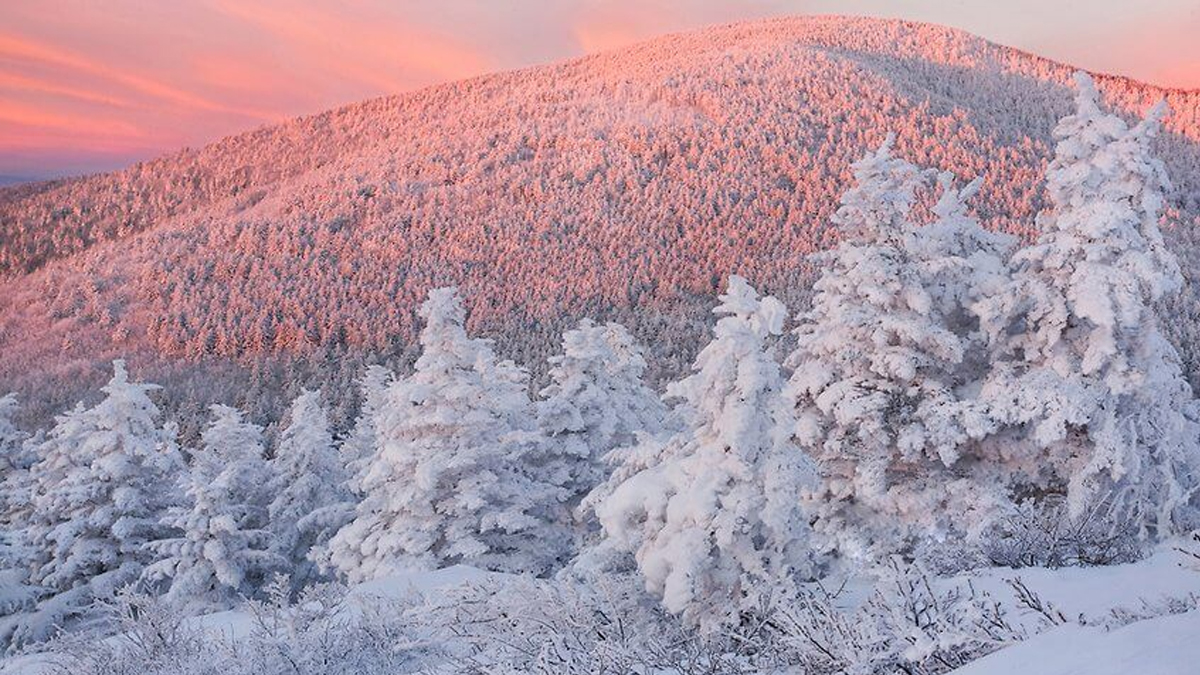 6 Reasons Why Christmas in North Carolina is the Absolute Best