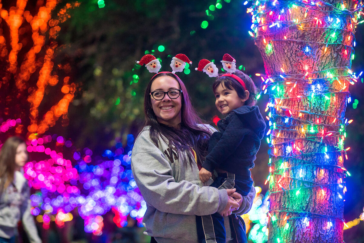 2017 Phoenix Zoo ZooLights When In Your State