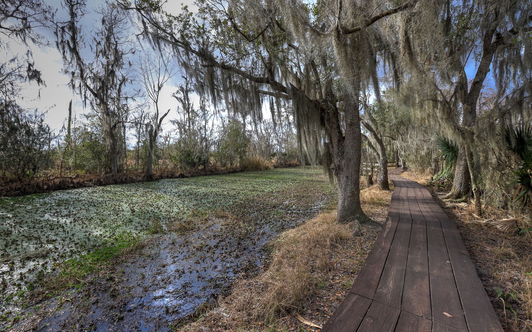 6 of the Most Beautiful Places to See in Louisiana
