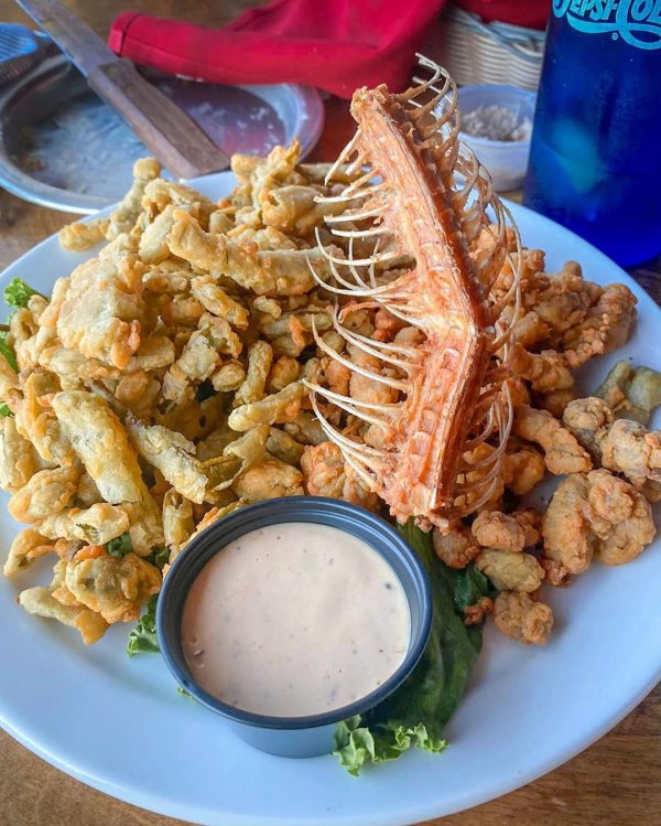 This Mountaintop Restaurant in Arizona Dares You to Try Fried Rattlesnake