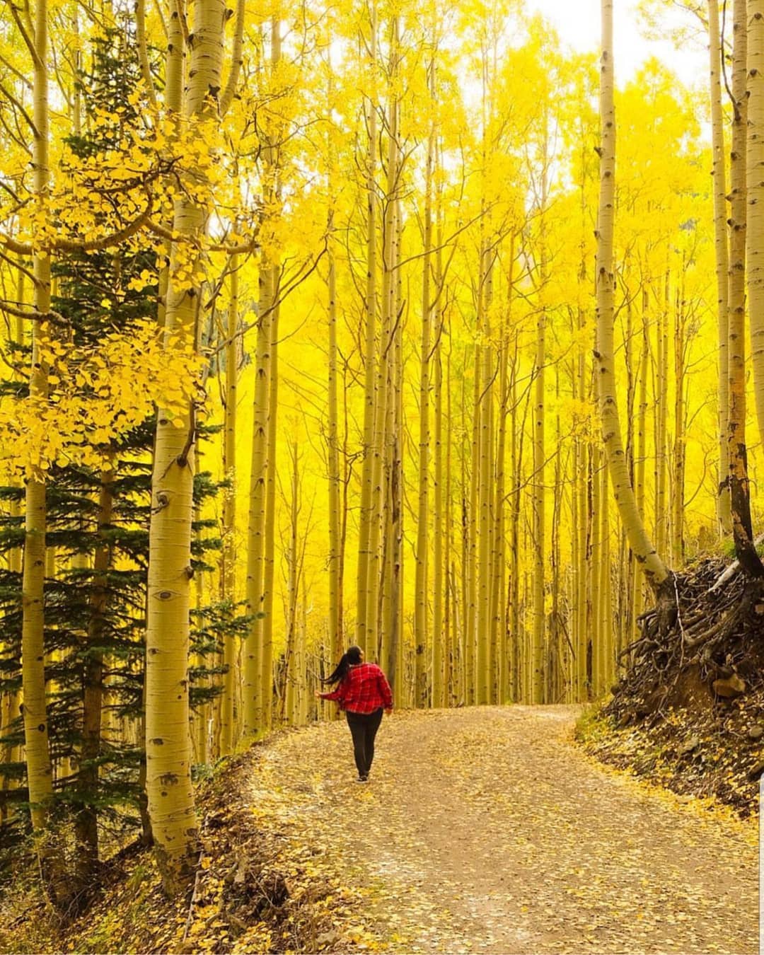 Inner Basin Trail When In Your State