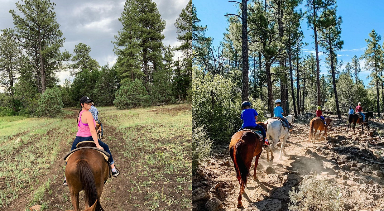 Porter Mountain When In Your State