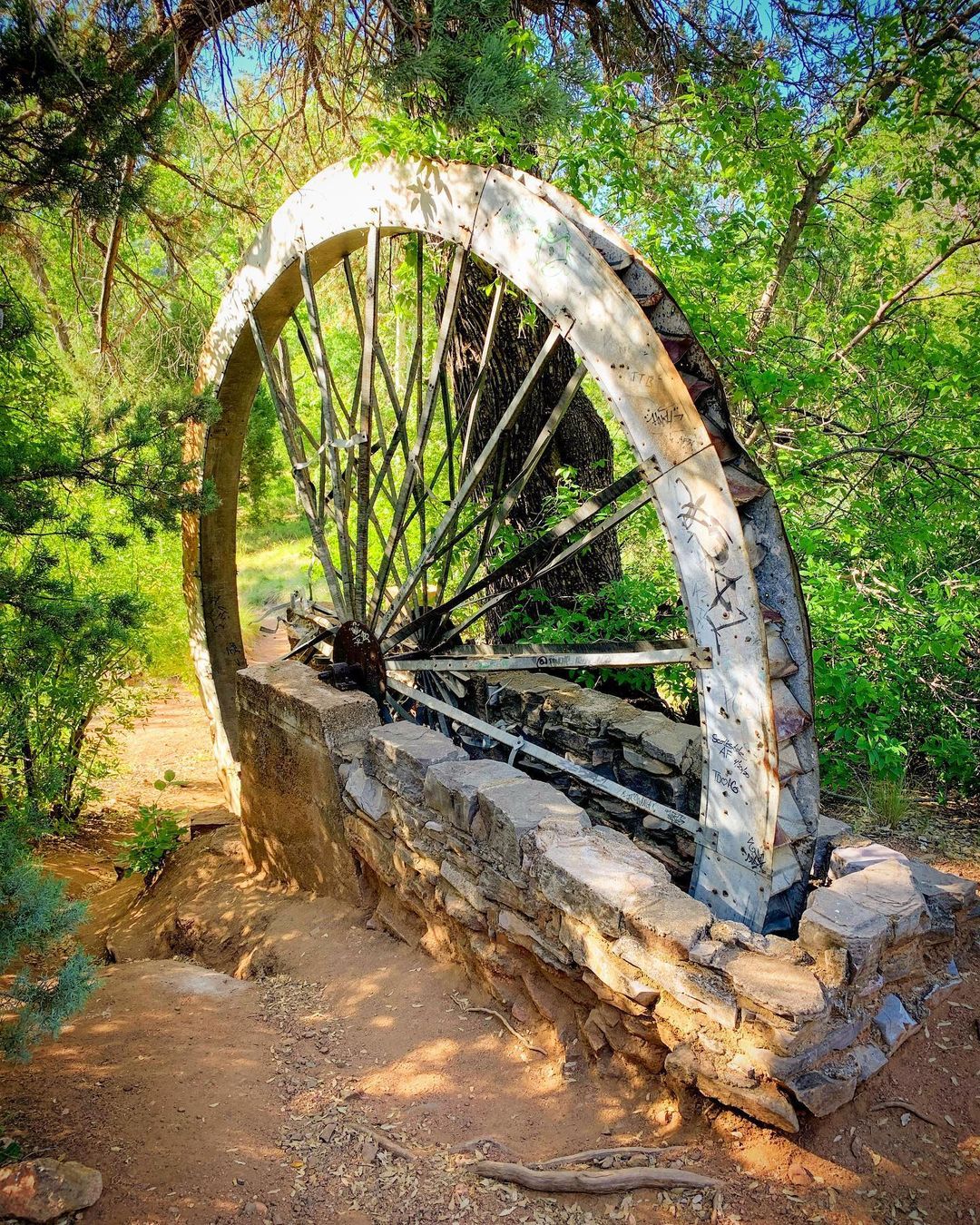 This Arizona Trail Leads to the Famous Carved Out 'Staircase' Log and Beautiful Falls