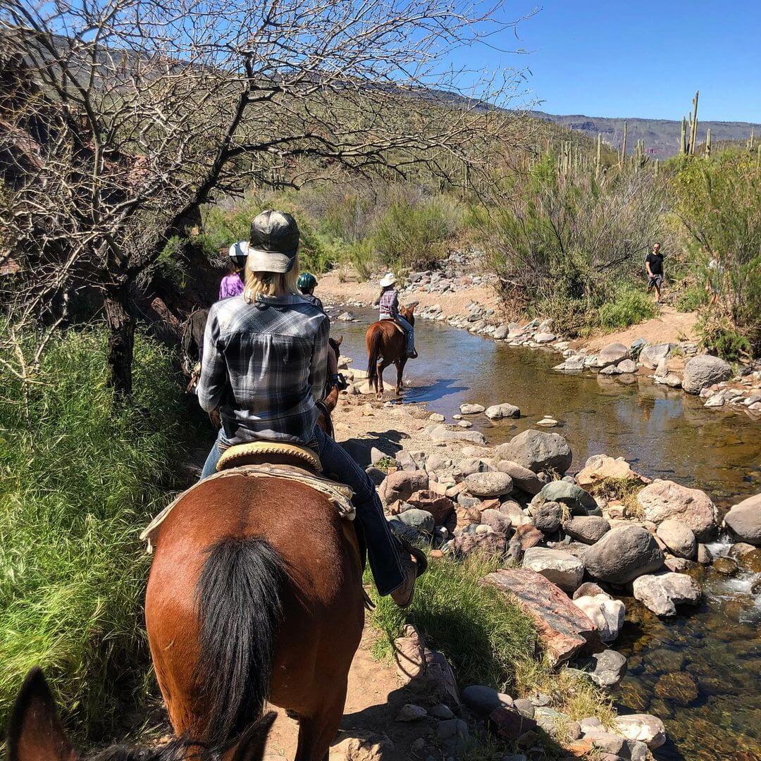 You Will Love the Big Sky Vistas Full of Saguaros and Mountains at This