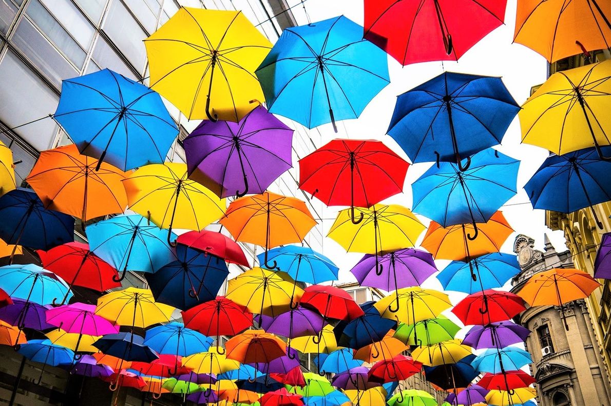 Colorful Umbrellas Float Above the Streets of Agueda, Portugal