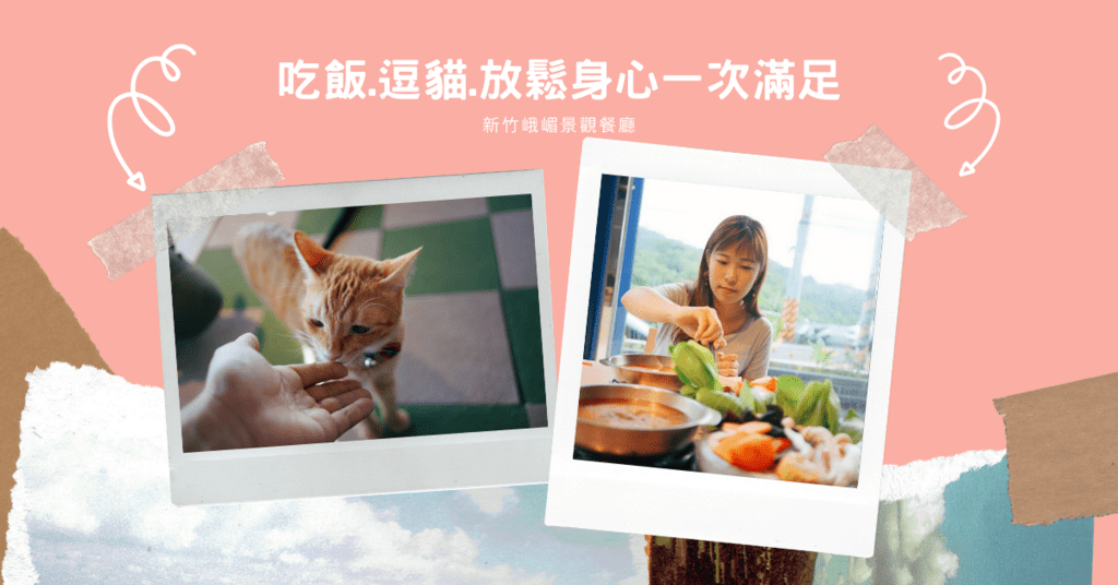 【新竹峨眉景觀餐廳】愛君堡咖啡   吃飯.逗貓.放鬆身心一次滿足