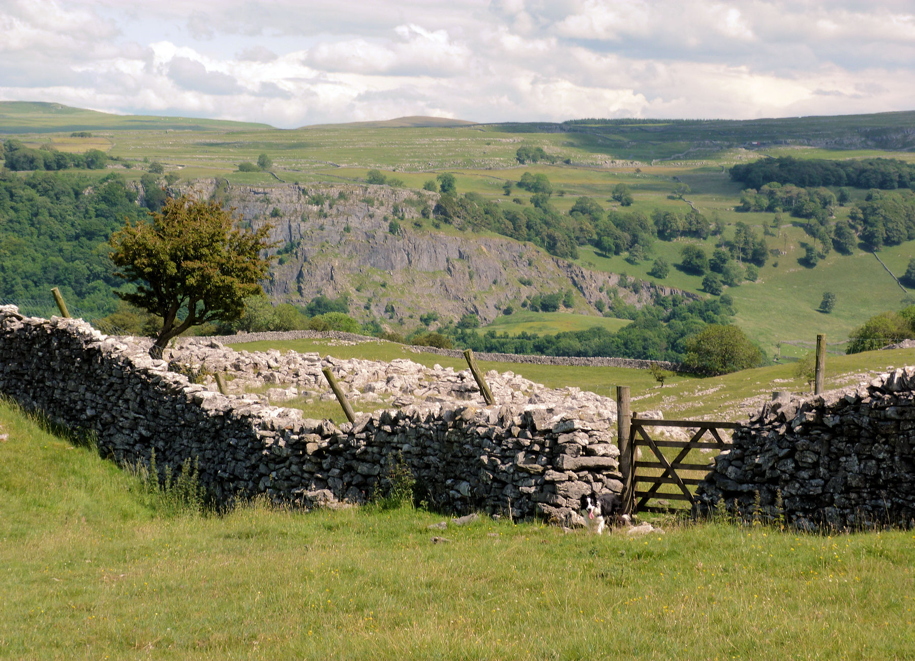 Bracken Way Walking Holiday Where2Walk