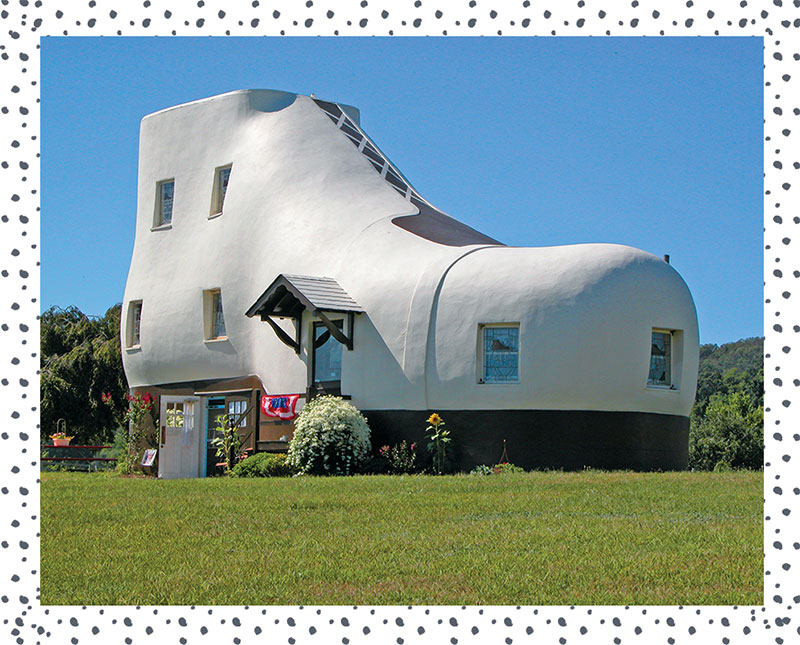 Quirky and Obscure Museums Where & When