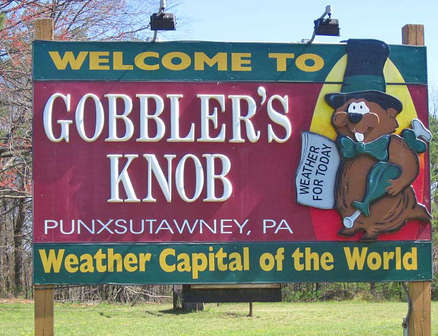 Unearthing the Underground World of Punxsutawney Phil Where & When