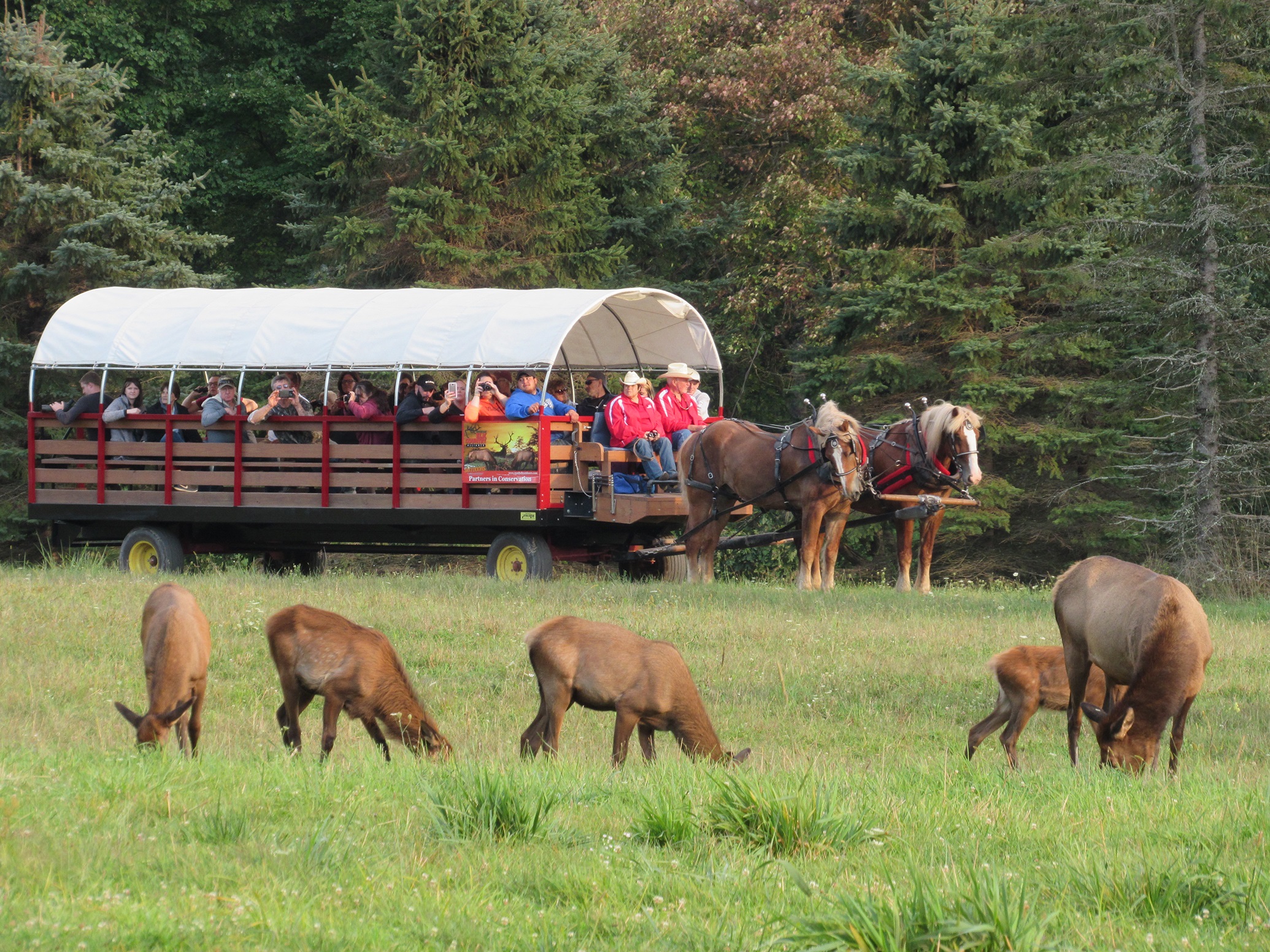 Fall In Elk Country Where & When