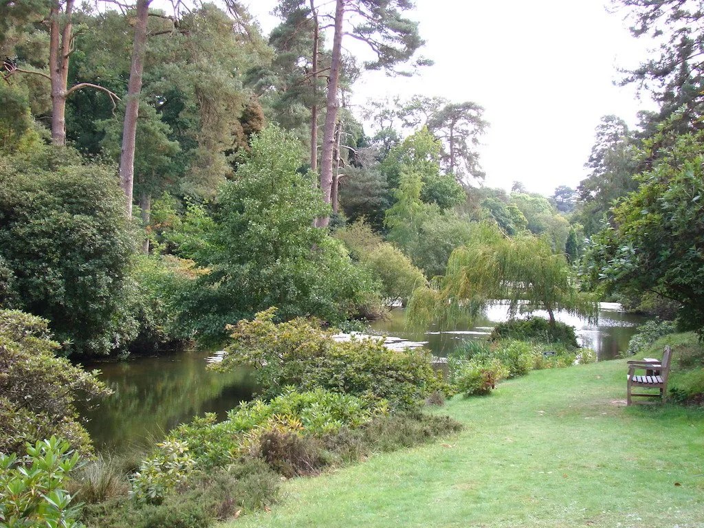 Leonardslee Gardens A Wonderful Day Out in West Sussex
