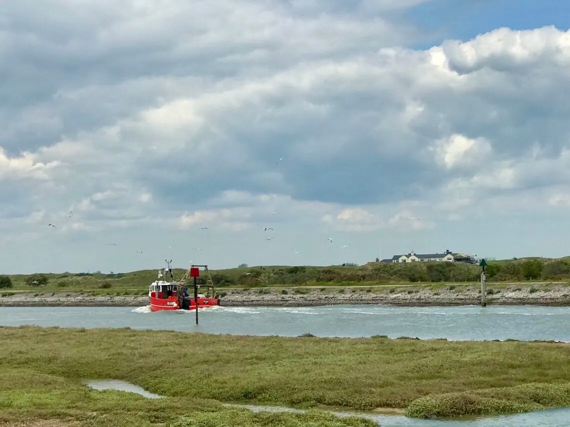 Discover the Best of Rye Harbour Nature Reserve on the Easy Circular