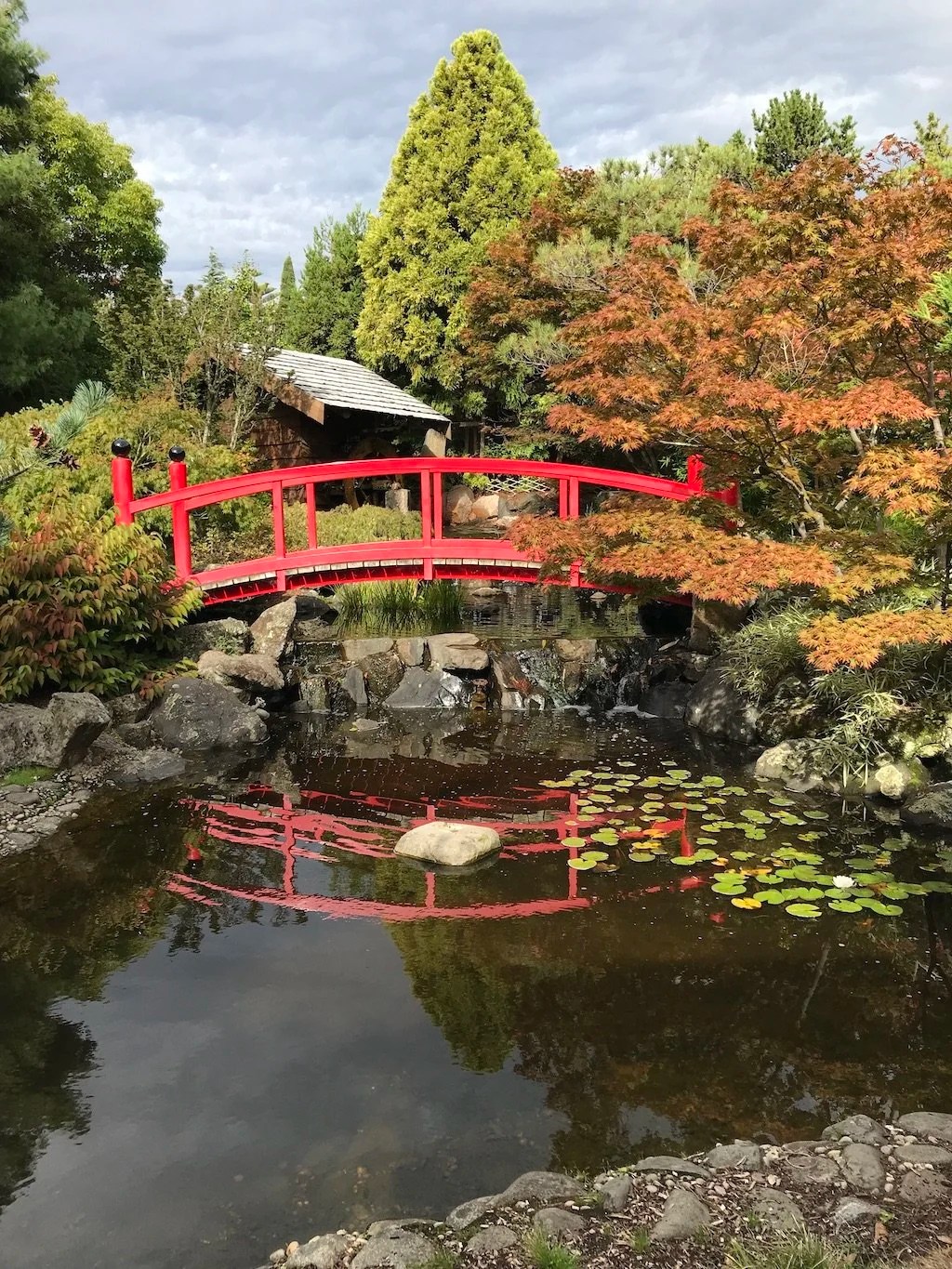 Visiting the Botanical Gardens Hobart Tasmania