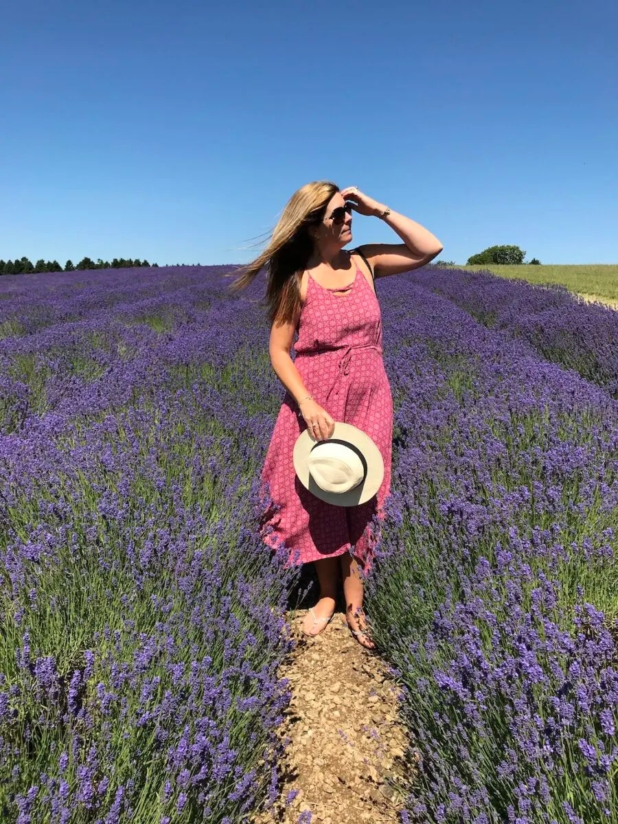 10 Sensational UK Lavender Fields To Visit In Summer