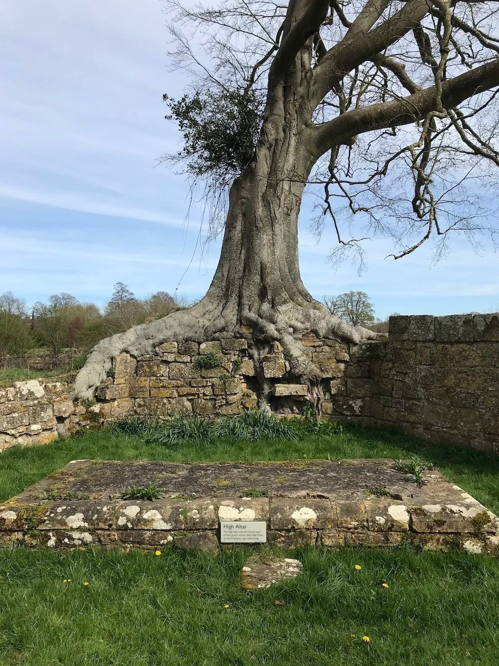 Visit Bayham Old Abbey in Tunbridge Wells Kent