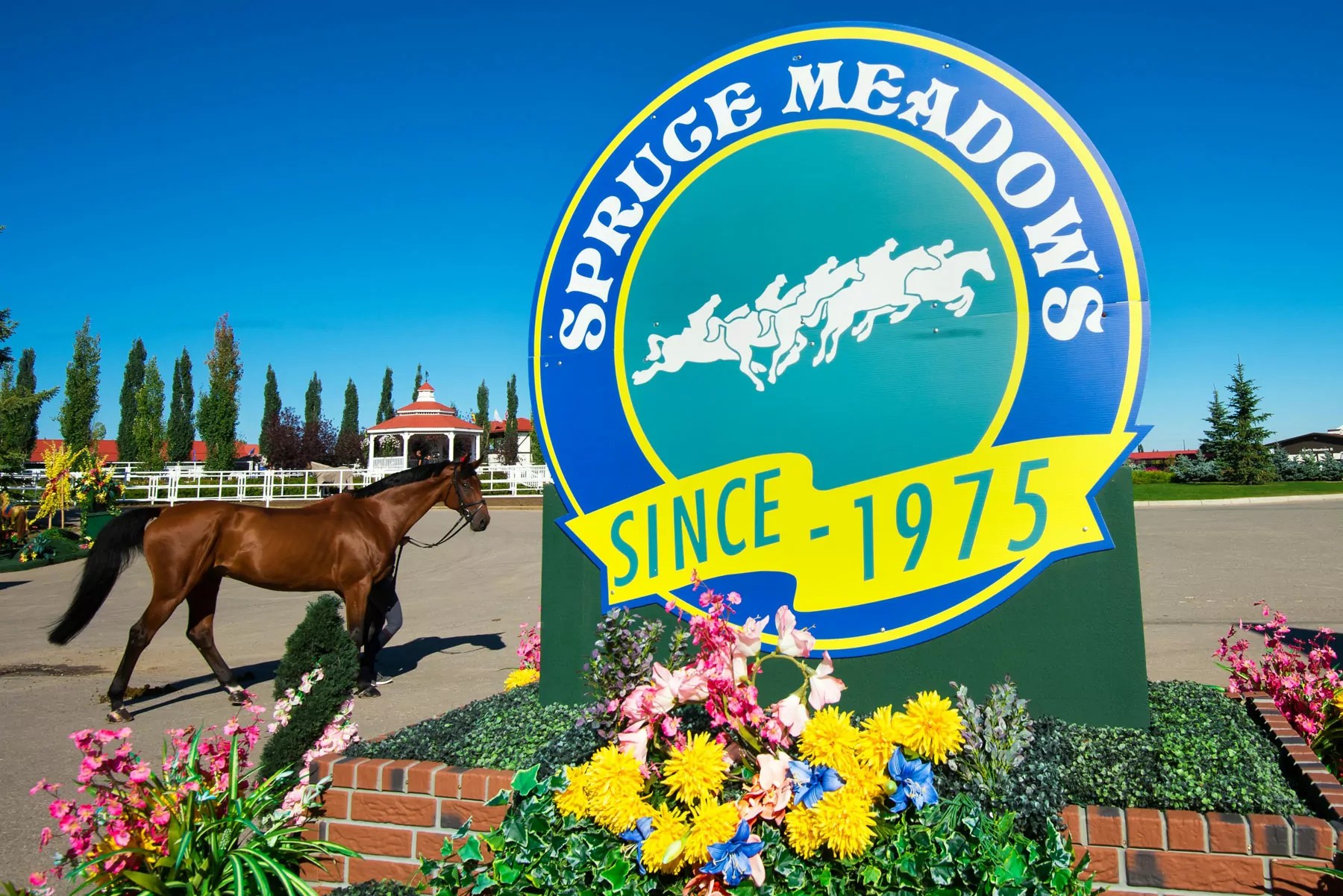 International Vibe at Spruce Meadows sitename