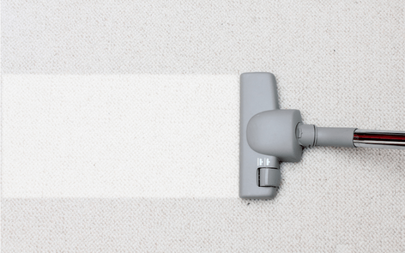 Where Are Tomic Vacuums Made at Tracy Glines blog