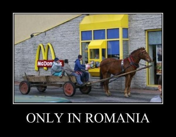 Imagine similară
