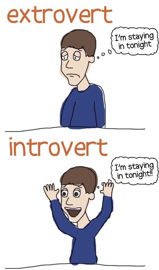 Extrovert vs Introvert