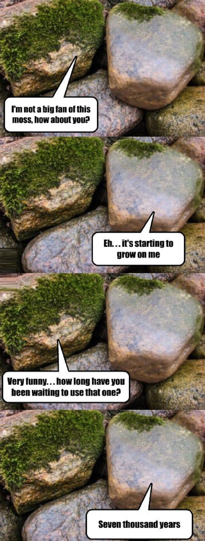 Rock humour