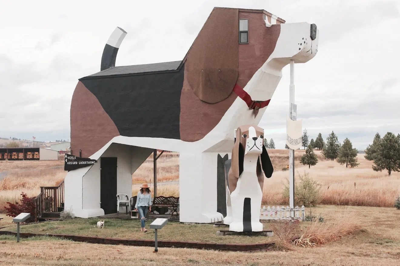 Sleep Inside A Beagle! Dog Bark Park Inn Where's The Frenchie?