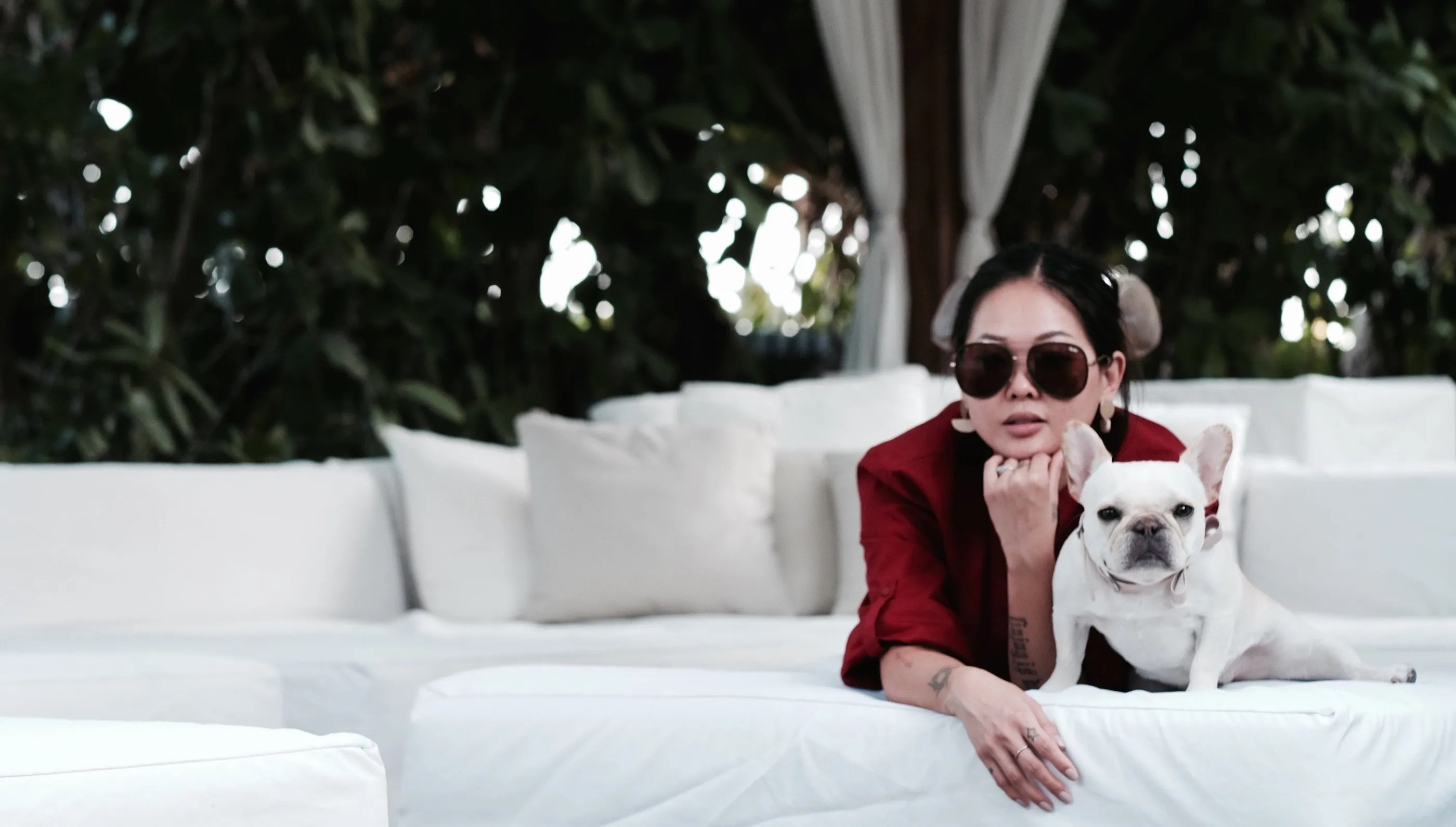 12 Miami Beach DogFriendly Hotels • Where's The Frenchie?