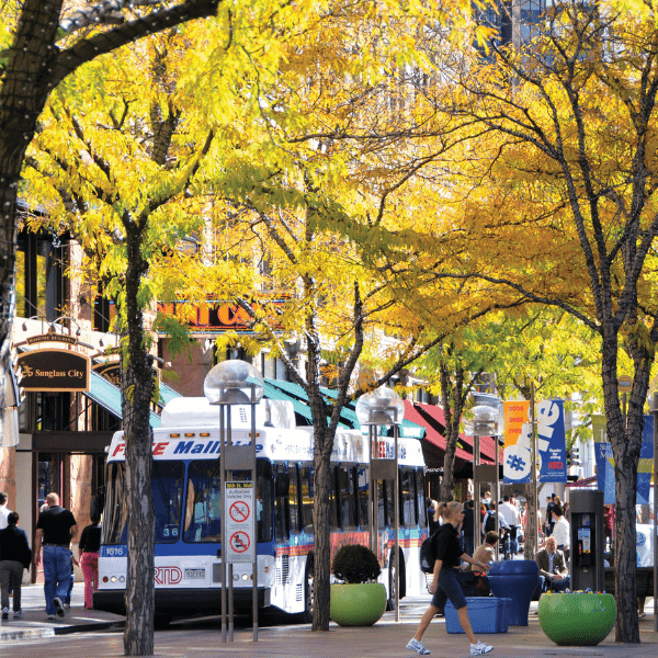 THE 15 BEST Things to Do in Denver, CO 2023 Marijuana Travel Guide