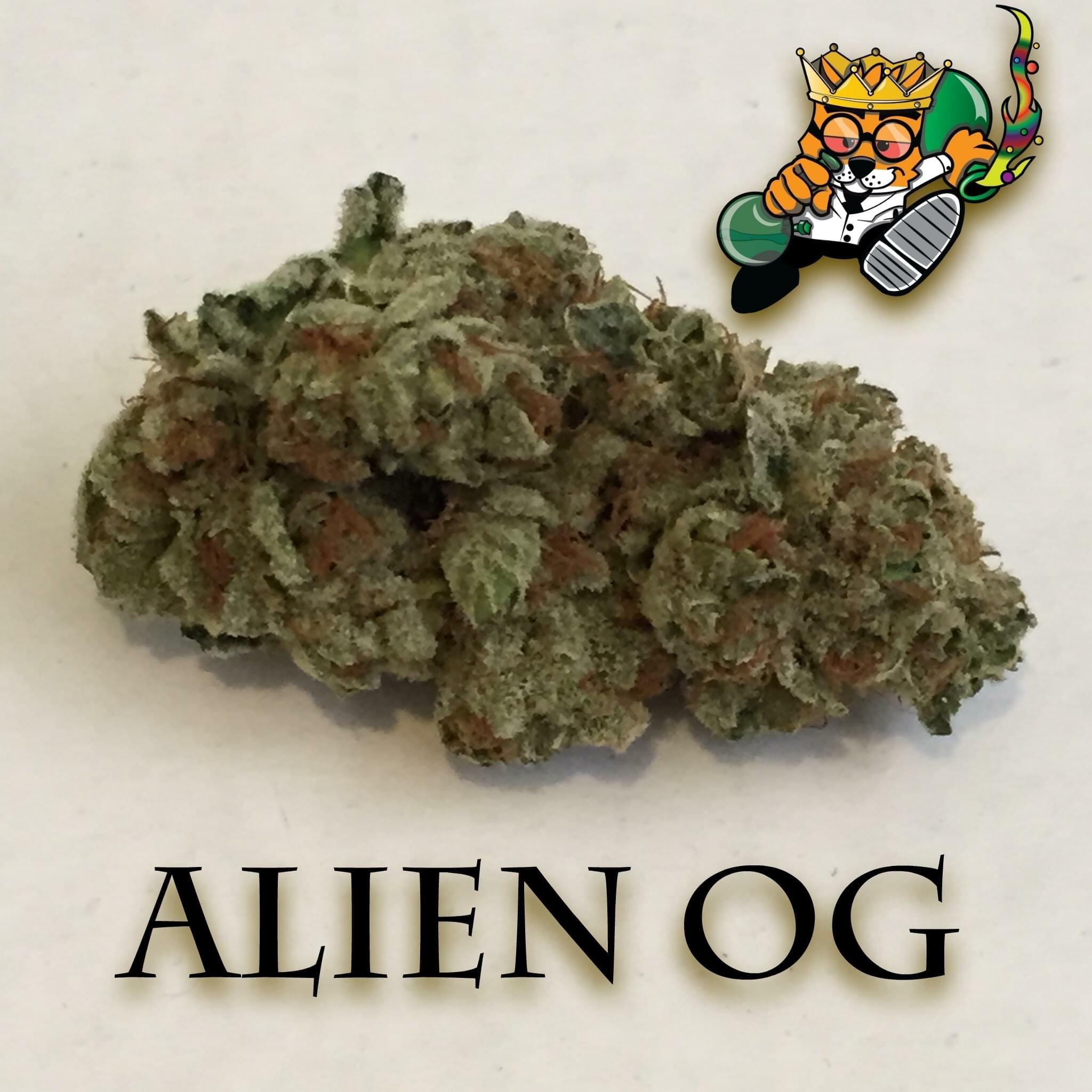 Alien Og Strain Information & Reviews Where's Weed